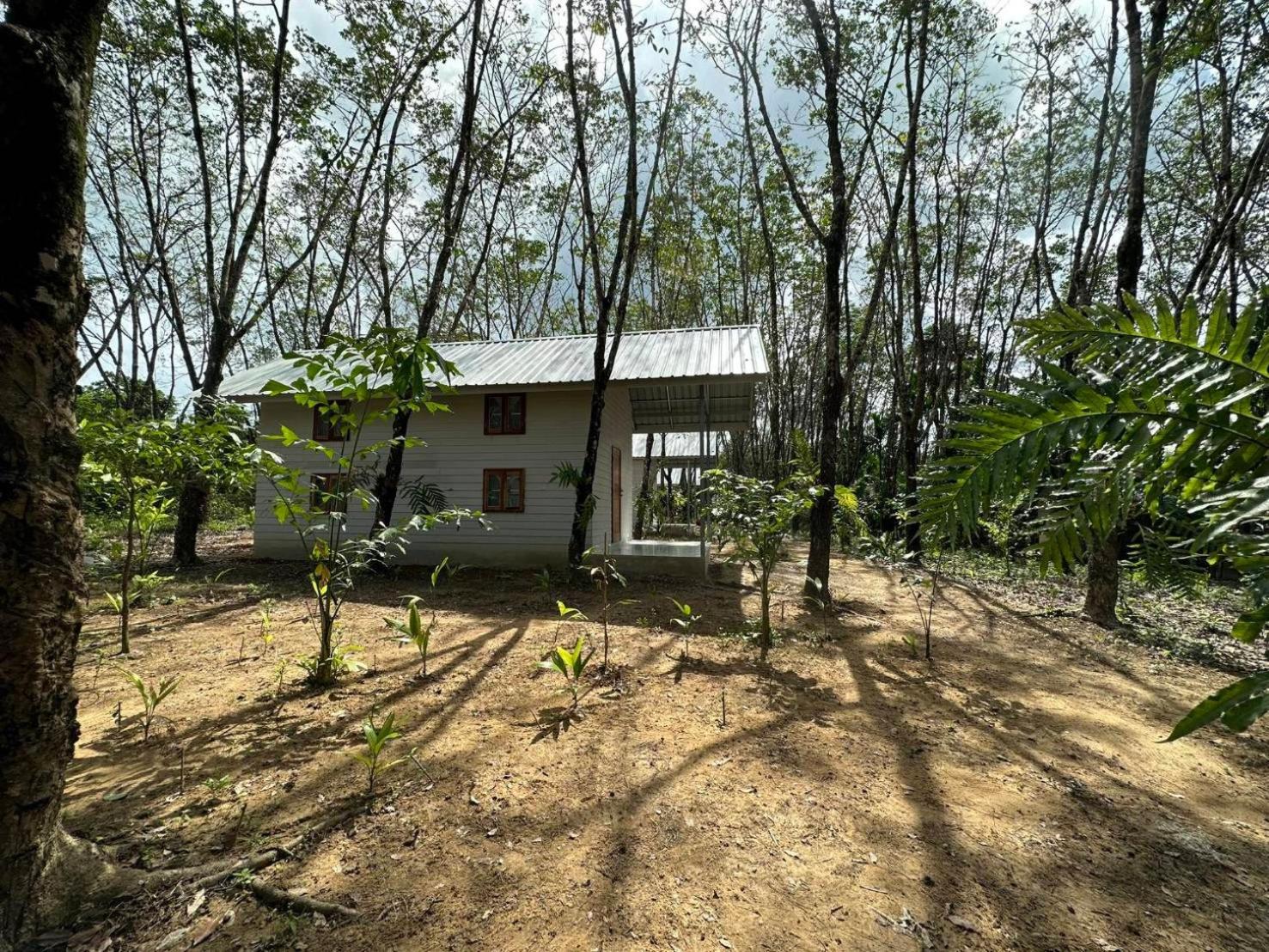 Rabbit Bungalow Koh Phayam Exterior photo